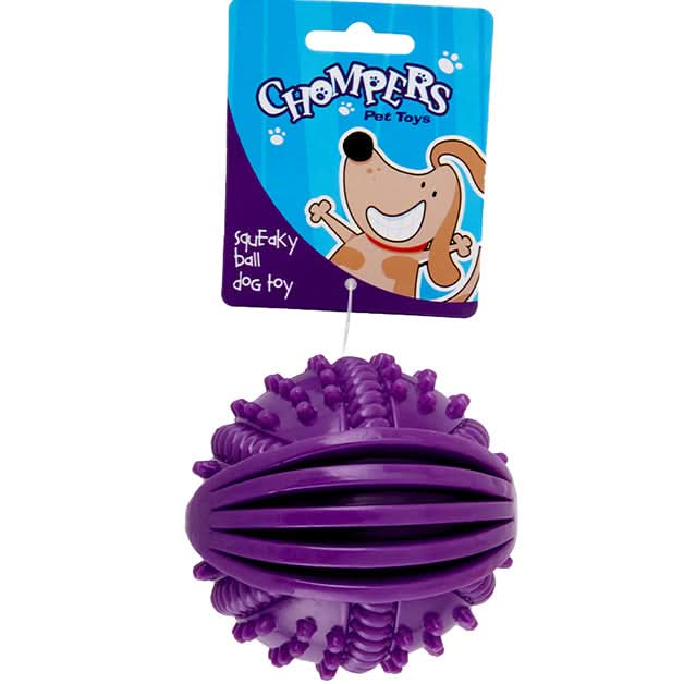 Squeaky Ball Dog Toy x 1 Assorted