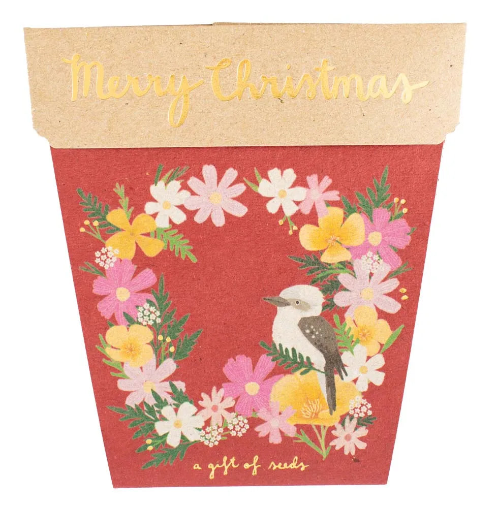 Sow 'n Sow Merry Christmas Flower Seeds